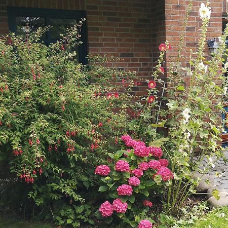 Ferienhaus Arkona Putgarten Kültér fotó